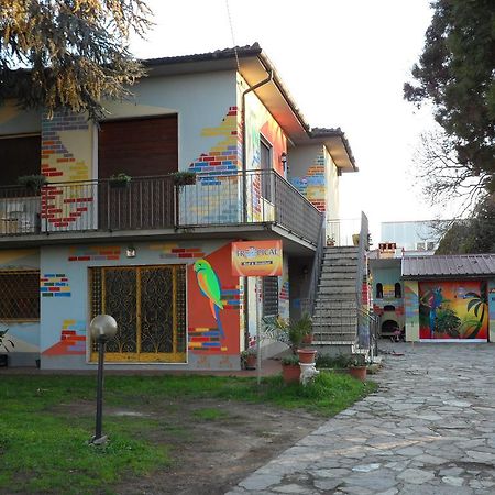 Tropical Bed&Breakfast Лукка Экстерьер фото